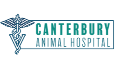 Canterbury Animal Hospital-HeaderLogo